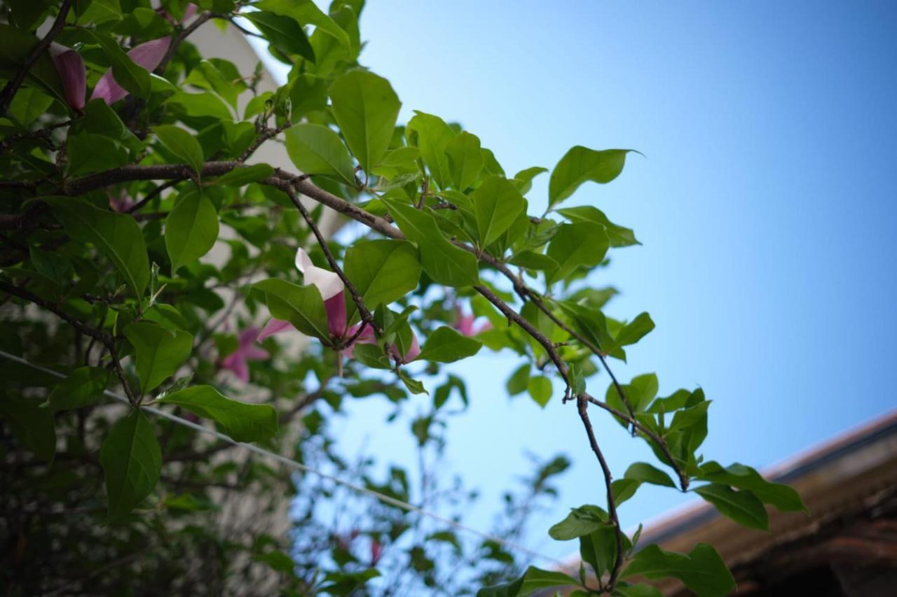 Downtown Secret Apartment ซาเกร็บ ภายนอก รูปภาพ